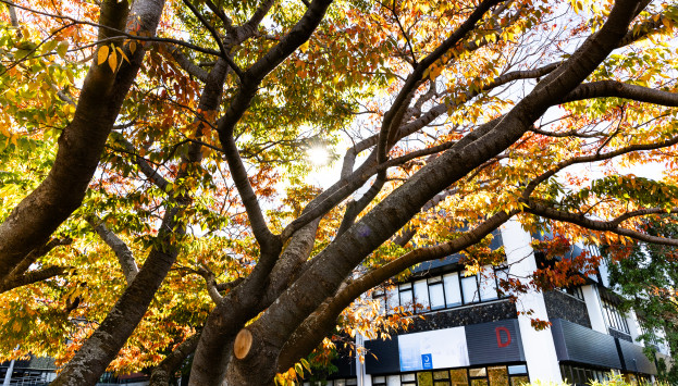Dunedin Campus Autumn 2024 5
