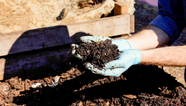 Popopo Wormporium Sustainability 210422 007